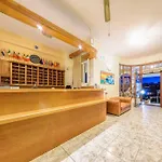 赞特宫殿酒店 3*