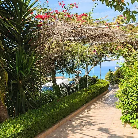 Hotel apartamentowy Zante Palace Tsilivi (Zakynthos)