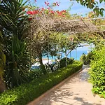 מלון דירות Zante Palace טסיליבי