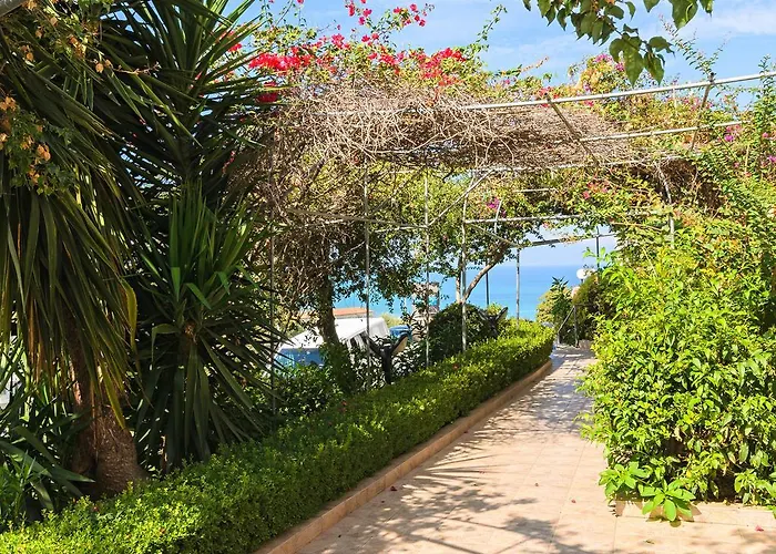 Lägenhetshotell Zante Palace Tsilivi (Zakynthos)